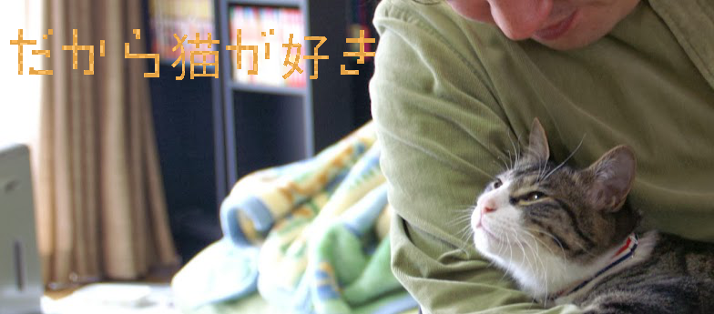だから猫が好き